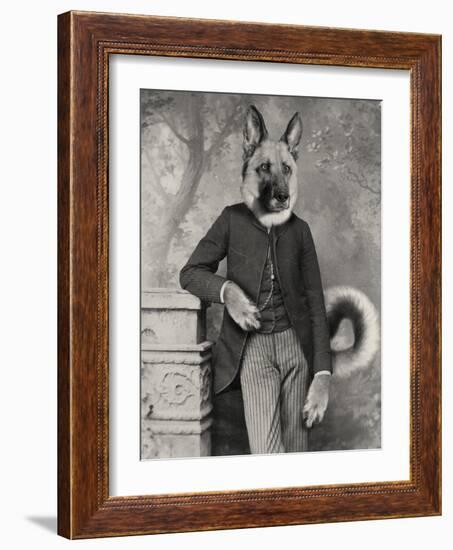 Hans The German Shepherd-J Hovenstine Studios-Framed Giclee Print