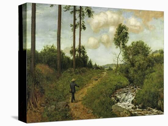Stretched Canvas Print, , large