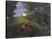 Stretched Canvas Print