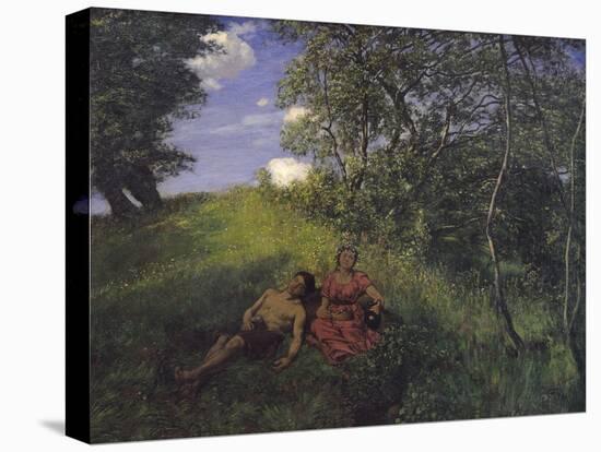 Stretched Canvas Print, , large