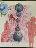 Collage Artwork of Cells of the Immune System-Hans-ulrich Osterwalder-Photographic Print