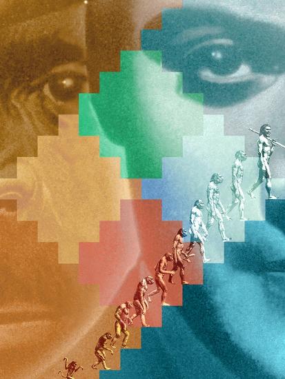 Photographic Print, , large