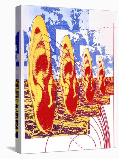 Stretched Canvas Print, , large