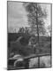 Photographic Print