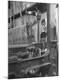 Photographic Print
