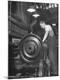Premium Photographic Print