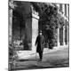 Premium Photographic Print