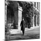 Premium Photographic Print