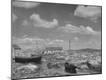 Photographic Print