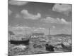 Photographic Print