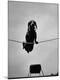 Premium Photographic Print