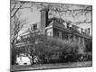 Photographic Print