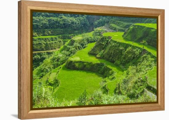 Hapao Rice Terraces, Part of the World Heritage Site Banaue, Luzon, Philippines-Michael Runkel-Framed Premier Image Canvas