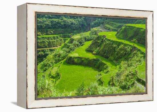 Hapao Rice Terraces, Part of the World Heritage Site Banaue, Luzon, Philippines-Michael Runkel-Framed Premier Image Canvas