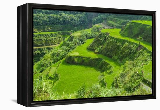 Hapao Rice Terraces, Part of the World Heritage Site Banaue, Luzon, Philippines-Michael Runkel-Framed Premier Image Canvas