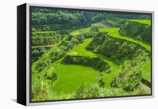 Hapao Rice Terraces, Part of the World Heritage Site Banaue, Luzon, Philippines-Michael Runkel-Framed Premier Image Canvas