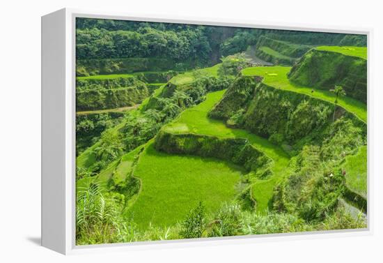 Hapao Rice Terraces, Part of the World Heritage Site Banaue, Luzon, Philippines-Michael Runkel-Framed Premier Image Canvas