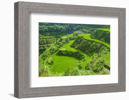 Hapao Rice Terraces, Part of the World Heritage Site Banaue, Luzon, Philippines-Michael Runkel-Framed Photographic Print