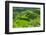 Hapao Rice Terraces, Part of the World Heritage Site Banaue, Luzon, Philippines-Michael Runkel-Framed Photographic Print