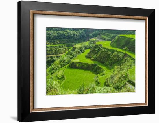 Hapao Rice Terraces, Part of the World Heritage Site Banaue, Luzon, Philippines-Michael Runkel-Framed Photographic Print