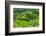 Hapao Rice Terraces, Part of the World Heritage Site Banaue, Luzon, Philippines-Michael Runkel-Framed Photographic Print