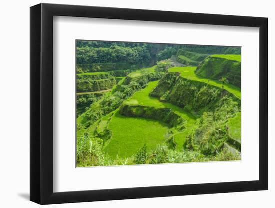 Hapao Rice Terraces, Part of the World Heritage Site Banaue, Luzon, Philippines-Michael Runkel-Framed Photographic Print