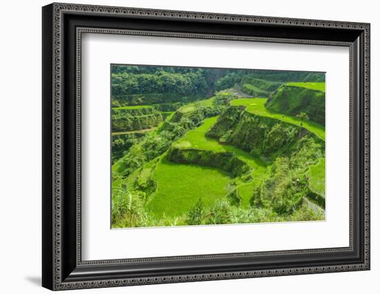 Hapao Rice Terraces, Part of the World Heritage Site Banaue, Luzon, Philippines-Michael Runkel-Framed Photographic Print