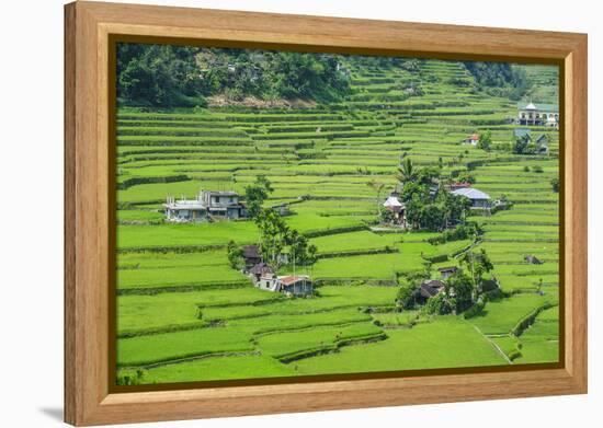 Hapao Rice Terraces, World Heritage Site, Banaue, Luzon, Philippines-Michael Runkel-Framed Premier Image Canvas