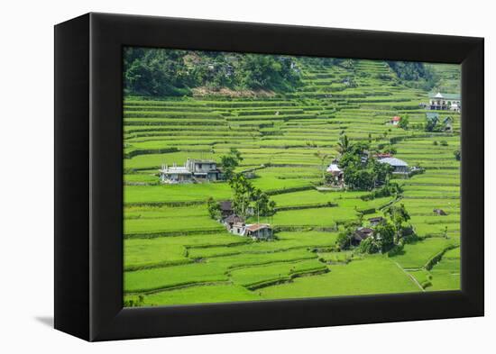 Hapao Rice Terraces, World Heritage Site, Banaue, Luzon, Philippines-Michael Runkel-Framed Premier Image Canvas