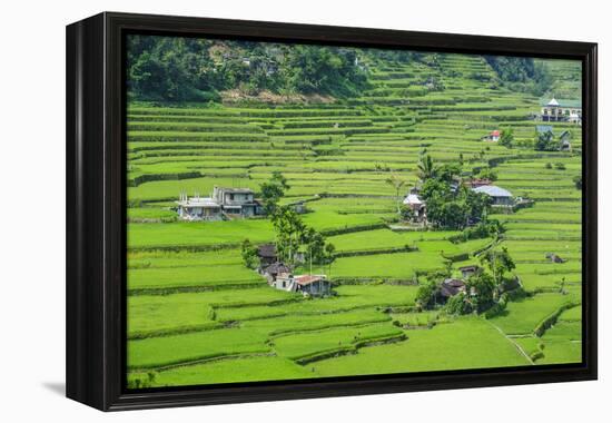 Hapao Rice Terraces, World Heritage Site, Banaue, Luzon, Philippines-Michael Runkel-Framed Premier Image Canvas