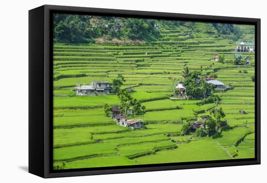 Hapao Rice Terraces, World Heritage Site, Banaue, Luzon, Philippines-Michael Runkel-Framed Premier Image Canvas