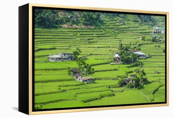 Hapao Rice Terraces, World Heritage Site, Banaue, Luzon, Philippines-Michael Runkel-Framed Premier Image Canvas