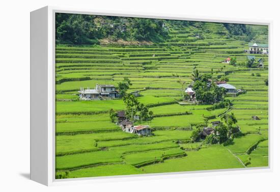 Hapao Rice Terraces, World Heritage Site, Banaue, Luzon, Philippines-Michael Runkel-Framed Premier Image Canvas