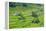 Hapao Rice Terraces, World Heritage Site, Banaue, Luzon, Philippines-Michael Runkel-Framed Premier Image Canvas