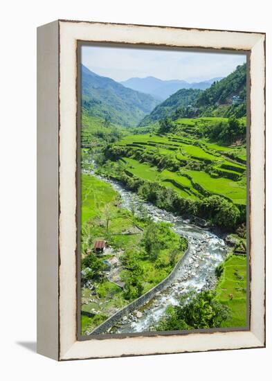 Hapao Rice Terraces, World Heritage Site, Banaue, Luzon, Philippines-Michael Runkel-Framed Premier Image Canvas