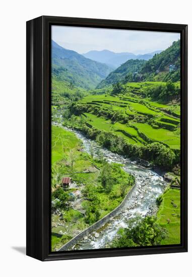 Hapao Rice Terraces, World Heritage Site, Banaue, Luzon, Philippines-Michael Runkel-Framed Premier Image Canvas