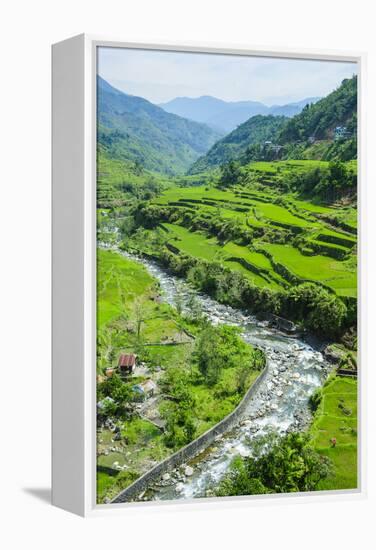 Hapao Rice Terraces, World Heritage Site, Banaue, Luzon, Philippines-Michael Runkel-Framed Premier Image Canvas