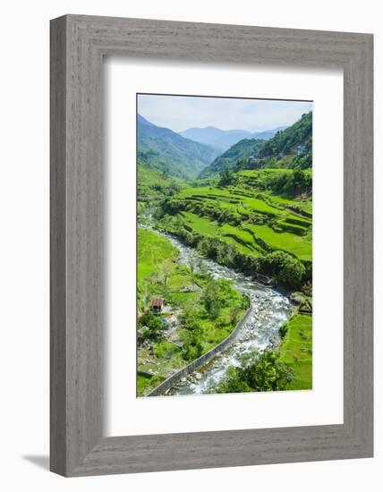 Hapao Rice Terraces, World Heritage Site, Banaue, Luzon, Philippines-Michael Runkel-Framed Photographic Print