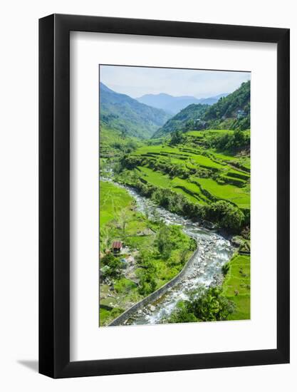 Hapao Rice Terraces, World Heritage Site, Banaue, Luzon, Philippines-Michael Runkel-Framed Photographic Print