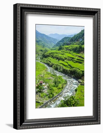 Hapao Rice Terraces, World Heritage Site, Banaue, Luzon, Philippines-Michael Runkel-Framed Photographic Print