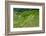 Hapao Rice Terraces, World Heritage Site, Banaue, Luzon, Philippines-Michael Runkel-Framed Photographic Print