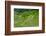 Hapao Rice Terraces, World Heritage Site, Banaue, Luzon, Philippines-Michael Runkel-Framed Photographic Print