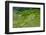 Hapao Rice Terraces, World Heritage Site, Banaue, Luzon, Philippines-Michael Runkel-Framed Photographic Print