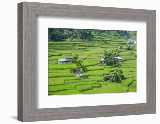 Hapao Rice Terraces, World Heritage Site, Banaue, Luzon, Philippines-Michael Runkel-Framed Photographic Print