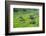 Hapao Rice Terraces, World Heritage Site, Banaue, Luzon, Philippines-Michael Runkel-Framed Photographic Print