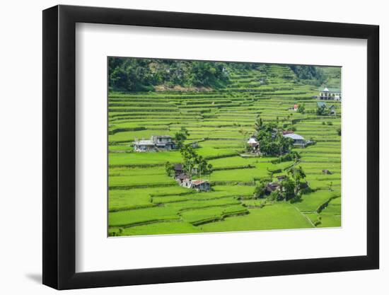 Hapao Rice Terraces, World Heritage Site, Banaue, Luzon, Philippines-Michael Runkel-Framed Photographic Print