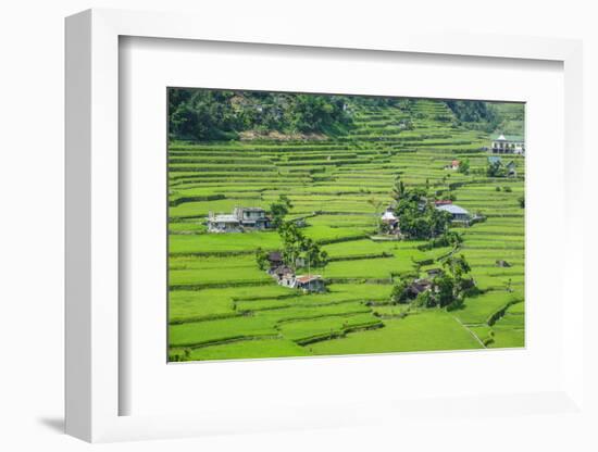 Hapao Rice Terraces, World Heritage Site, Banaue, Luzon, Philippines-Michael Runkel-Framed Photographic Print