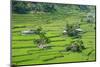 Hapao Rice Terraces, World Heritage Site, Banaue, Luzon, Philippines-Michael Runkel-Mounted Photographic Print