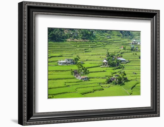 Hapao Rice Terraces, World Heritage Site, Banaue, Luzon, Philippines-Michael Runkel-Framed Photographic Print