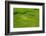 Hapao Rice Terraces, World Heritage Site, Banaue, Luzon, Philippines-Michael Runkel-Framed Photographic Print